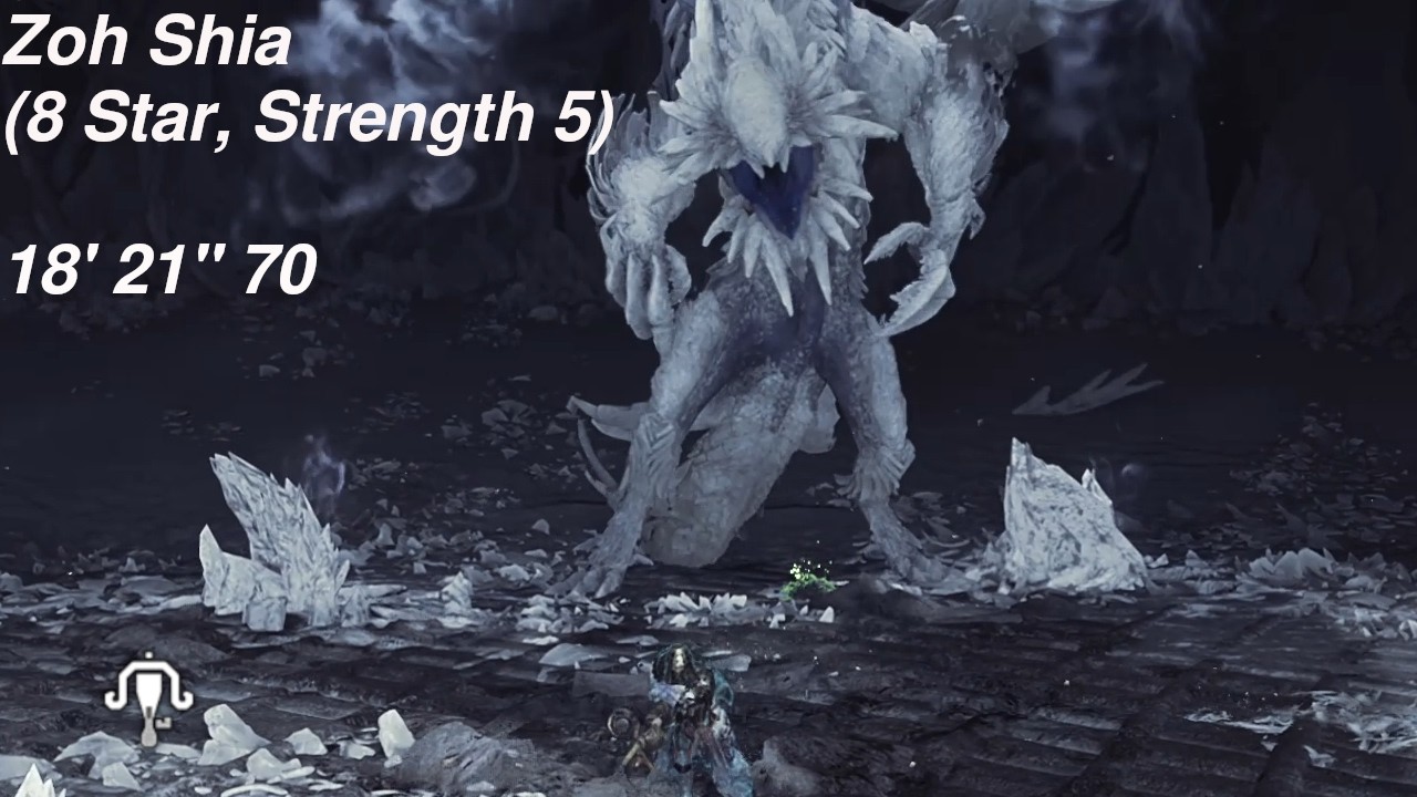 Light Bowgun | 8*5 Zoh Shia | 18' 21