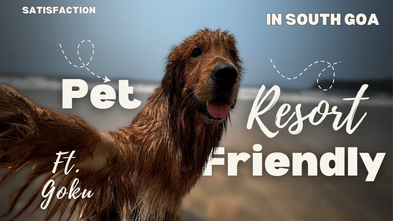 Pet-Friendly Beachfront Resort in South Goa #SonhoDoMarGoa #SouthGoaResort #petfriendlyresort #pets