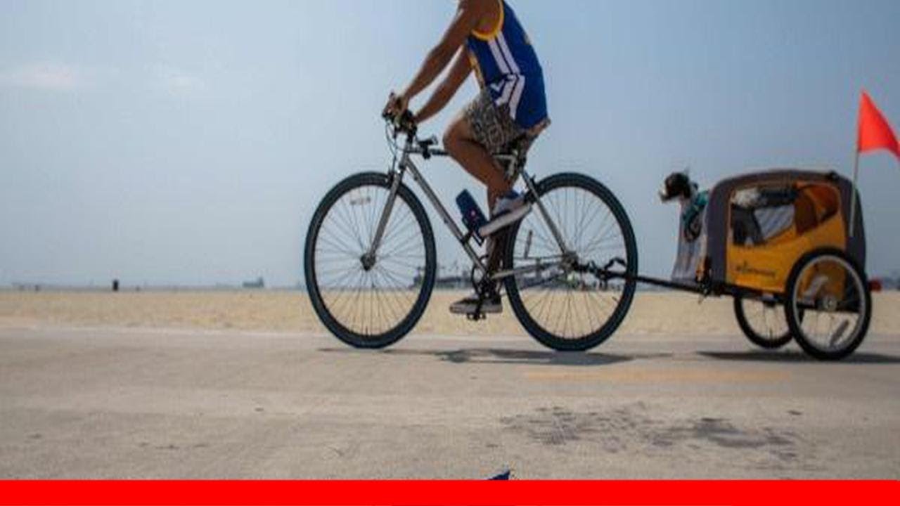 Signs Of Impending Disaster: Discarded Covid Face Masks Are Washing Up On California'S Beaches 😱