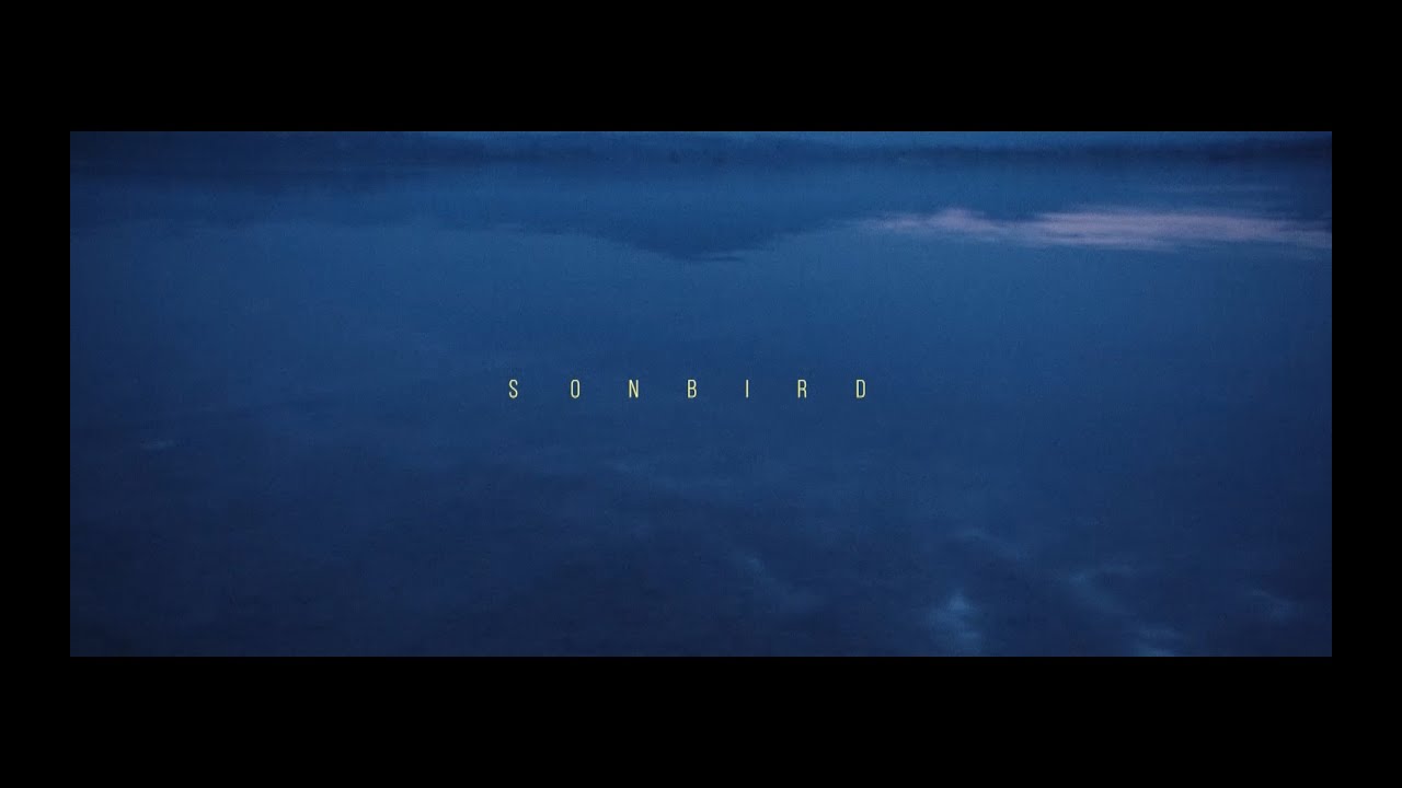 Sonbird - Ląd