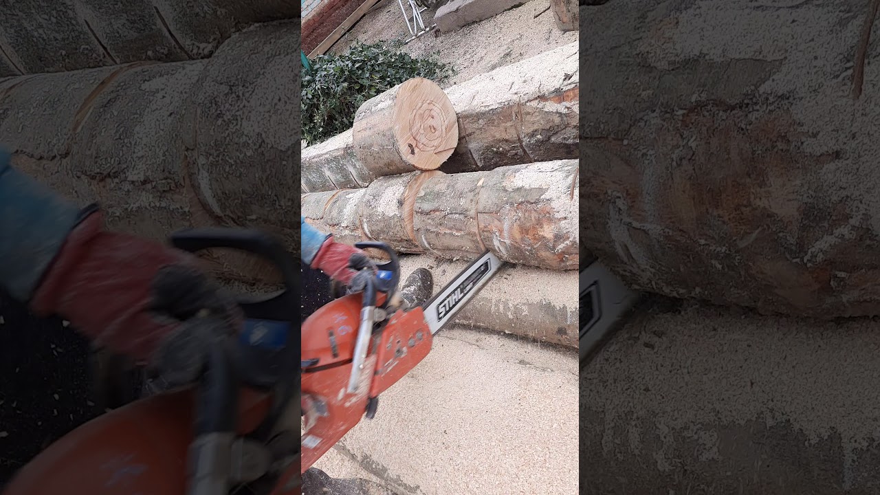 dolmar ps 7300 in lemn de fag murdar cu lant vidia  3/8 1,6 50 Cm