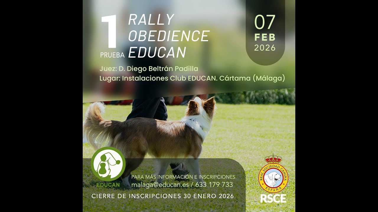 PRUEBA RALLY OBEDIENCE RSCE (EDUCAN)