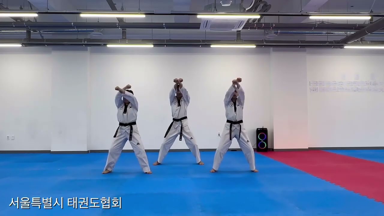 유품자 태권체조