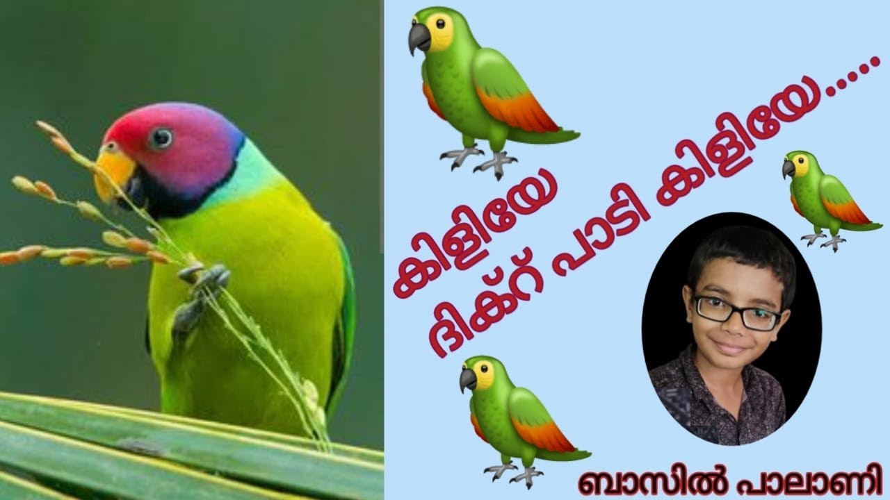 കിളിയേ ദിക്റ് പാടി കിളിയേ.... (ബാസിൽ പാലാണി)