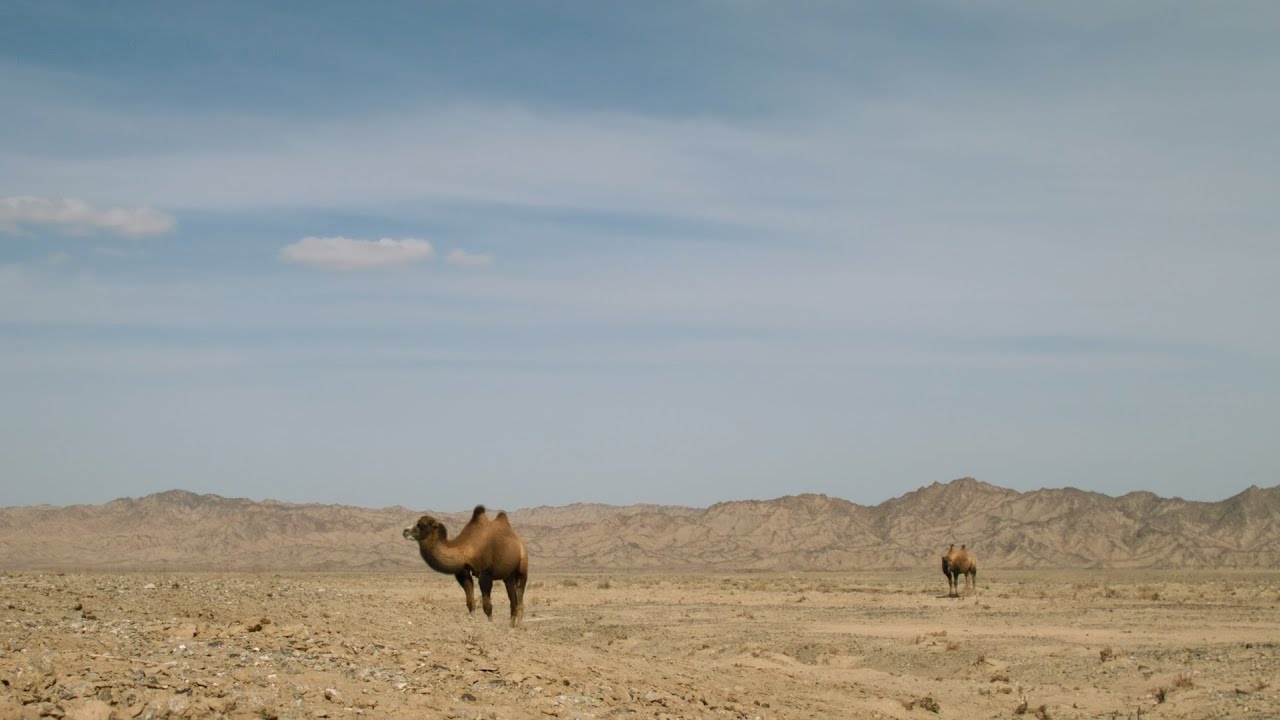Rolex Awards – Liu Shaochuang – Ep. 1: Written in the Stars