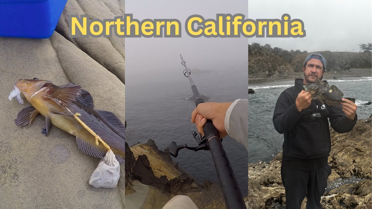 Northern California Rock Fishing |  Sonoma Coast |  Catch and Cook | Rock Fishing Techniques