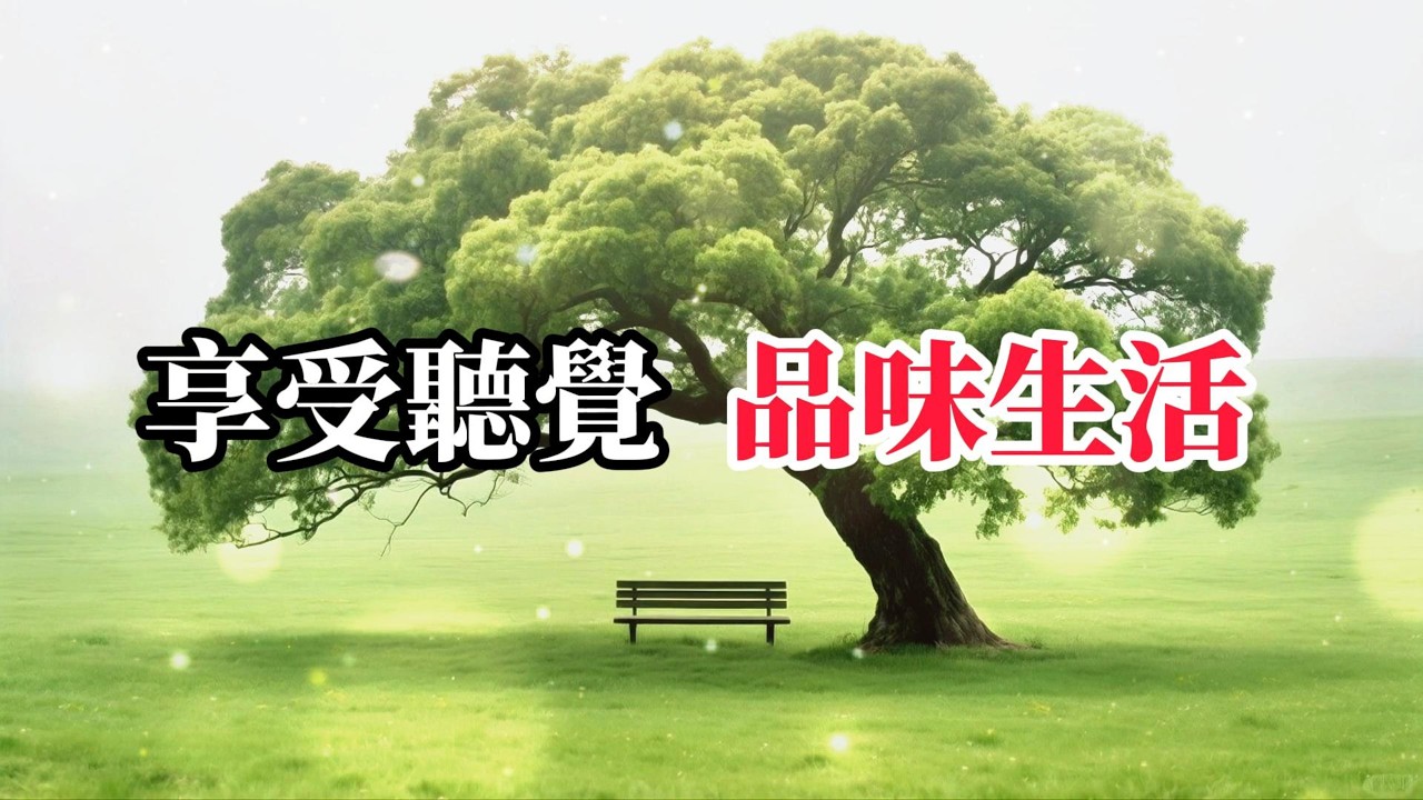 悠閒 享受聽覺 溫潤的聲景為你的思緒鋪上一層柔光，完美隔絕外界紛擾，讓你專注而平靜地進入冥想、閱讀或高效工作狀態 -3-