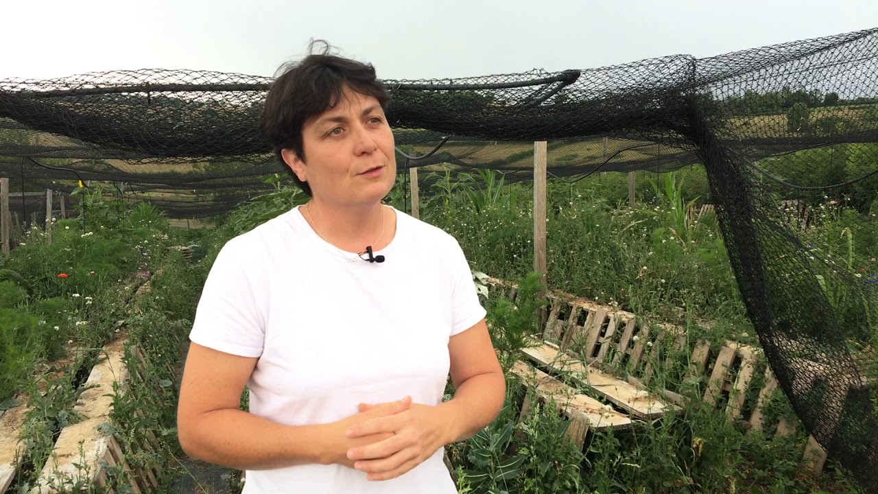 Agrikolis Tour : Interview de Corine Rubod - L'escargot brionnais à Briant (71)