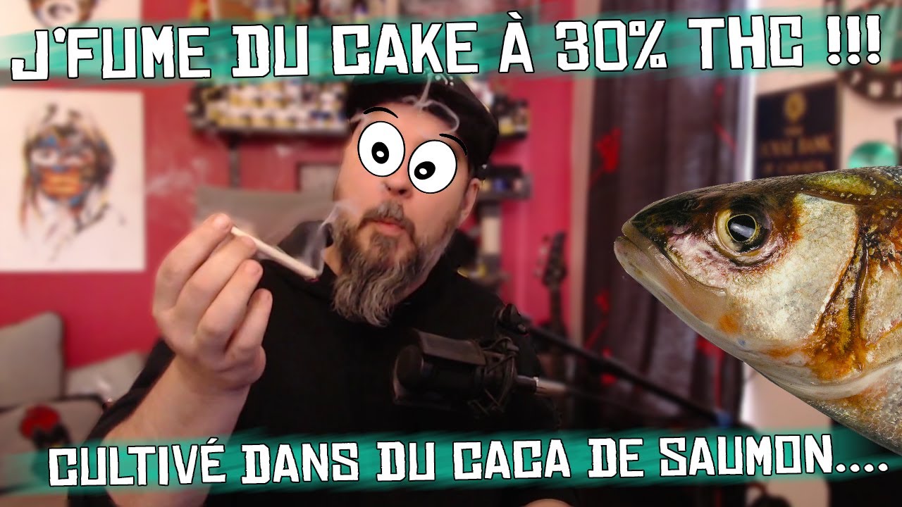 J'fume un CAKE &agrave; 30% de THC! Cultiv&eacute; en aquaponie par HABITAT distribu&eacute; par Shelter Market weed