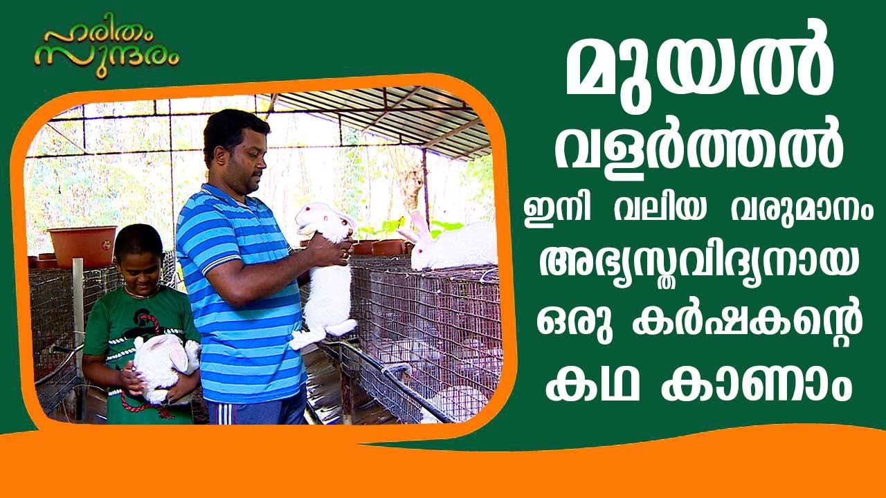 Story of an educated farmer who made huge profit through rabbit farming | Haritham Sundaram EPI 308