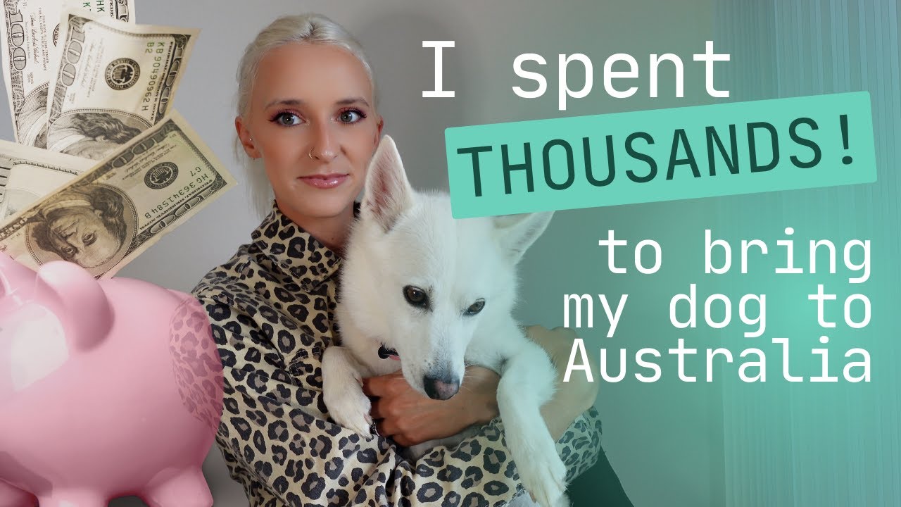I SPENT OVER $10,000 TO MOVE MY DOG TO AUSTRALIA