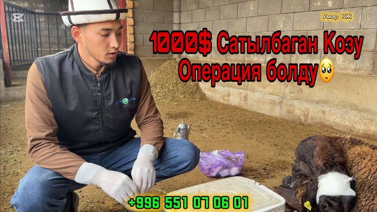 ҮЙ ШАРТЫНДАГЫ ТАТААЛ ОПЕРАЦИЯ 🔥✅👍