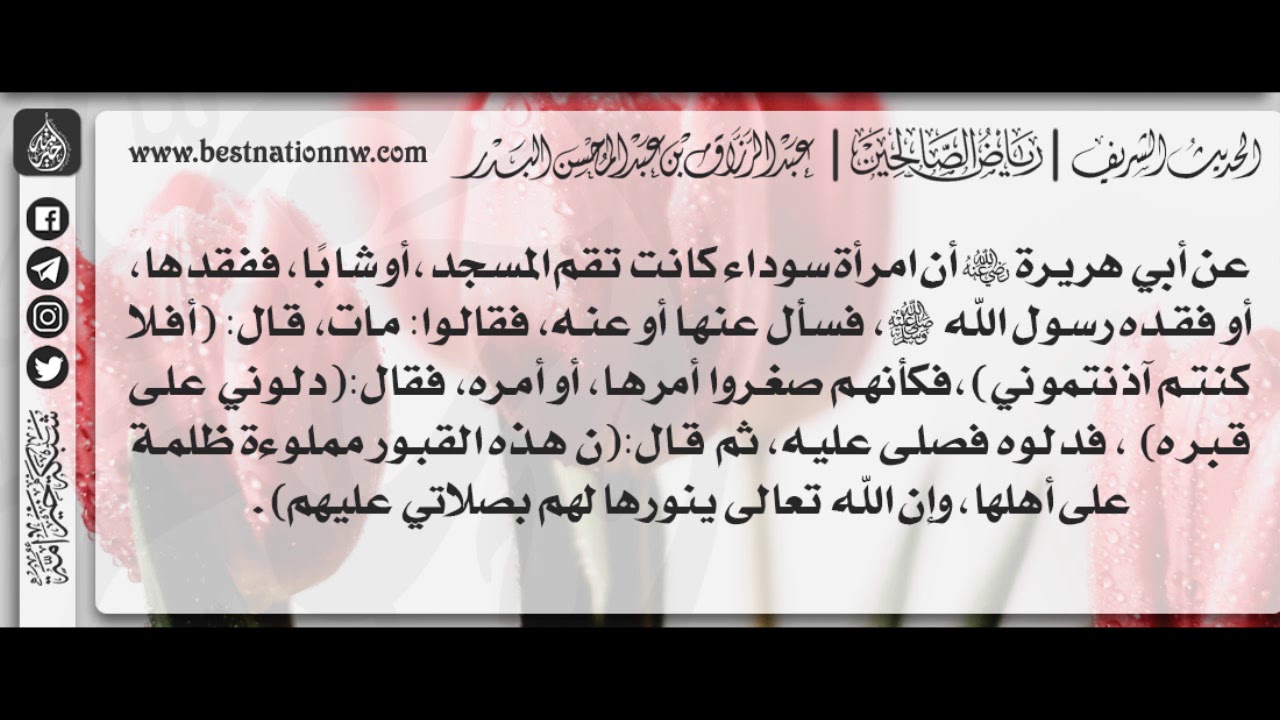 256 - شرح حديث أن امرأة سوداء كانت تقم المسجد أو شابًا ففقدها رسول الله ﷺ - الشيخ د. عبدالرزاق البدر