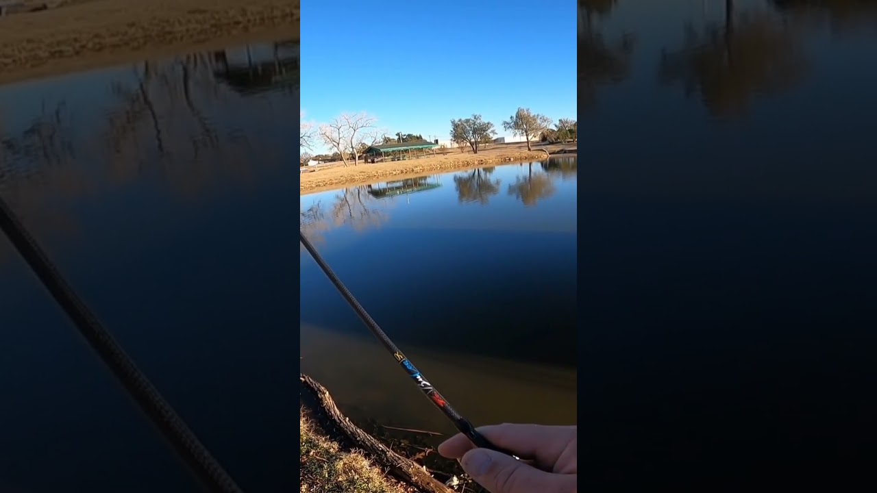 That thump gel make crappie eat 