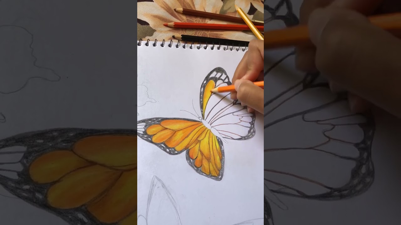 Color Butterfly with me #colorfulart #fabercastell #colors #coloring #colorful#butterflies#butterfly