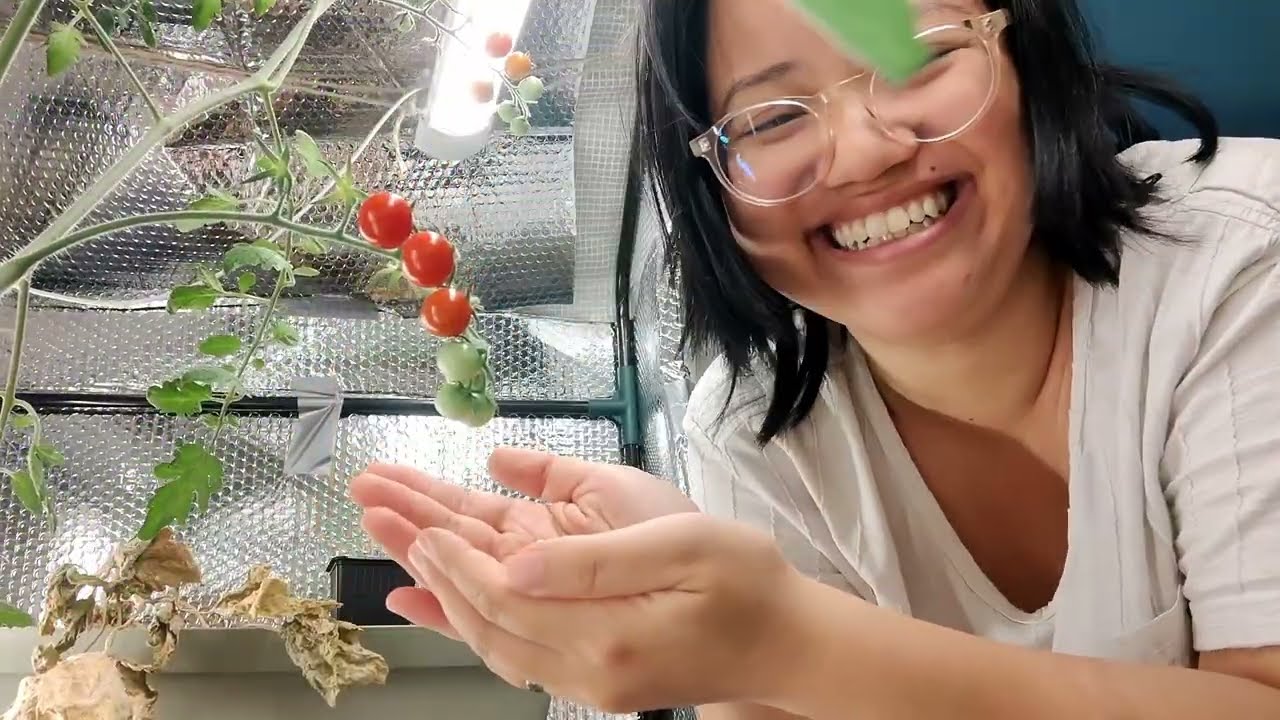 34. The year I had a Greenhouse 🌱