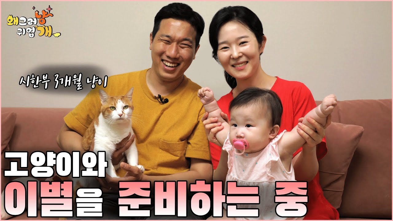 시한부 판정을 받은 고양이와 이별을 준비하는 가족들