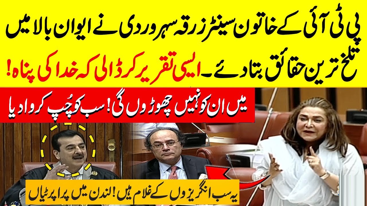 Dr. Zarqa Lashes Out at Finance Minister Muhammad Aurangzeb 🚨