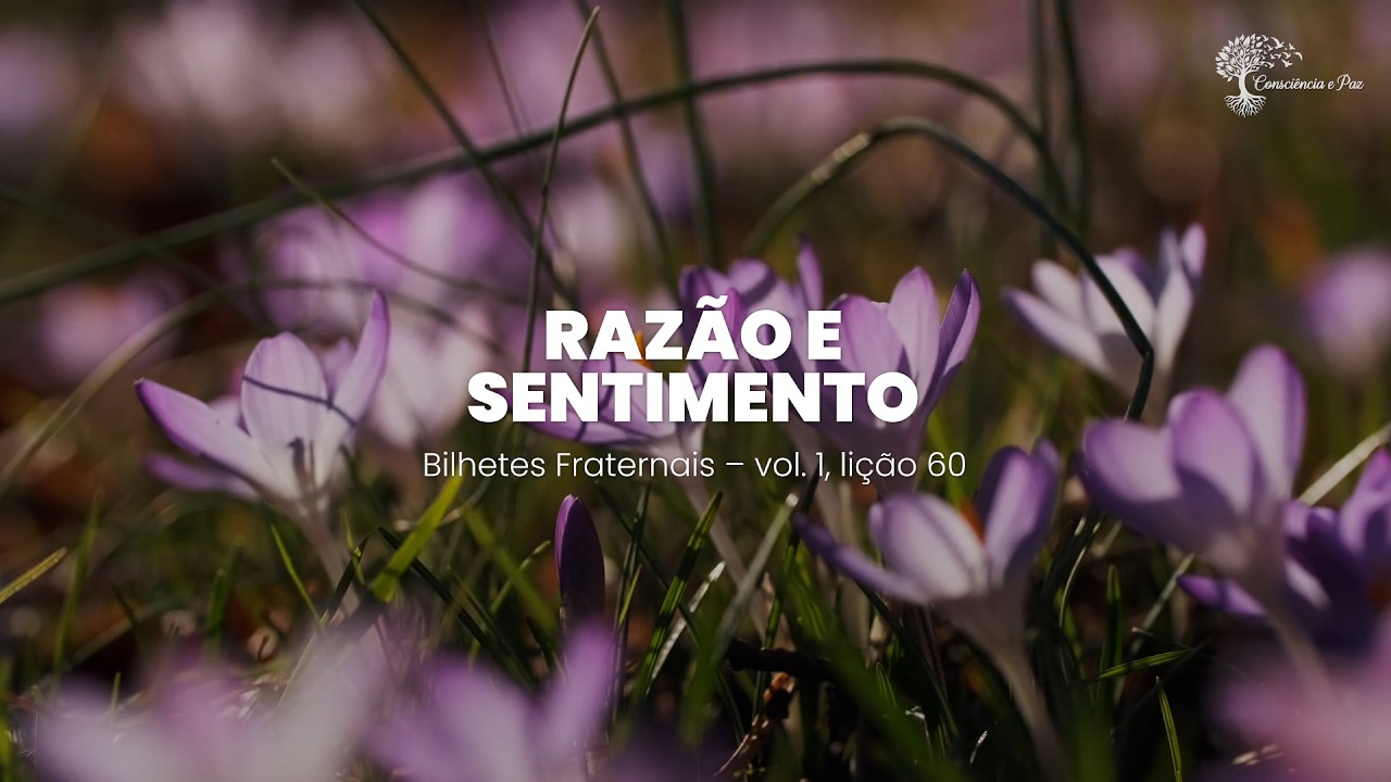 Razão e sentimento