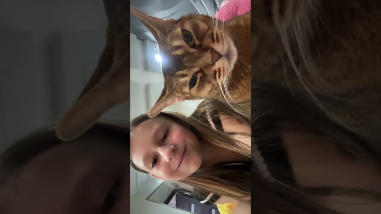 Кто из нас с Клео 🐱