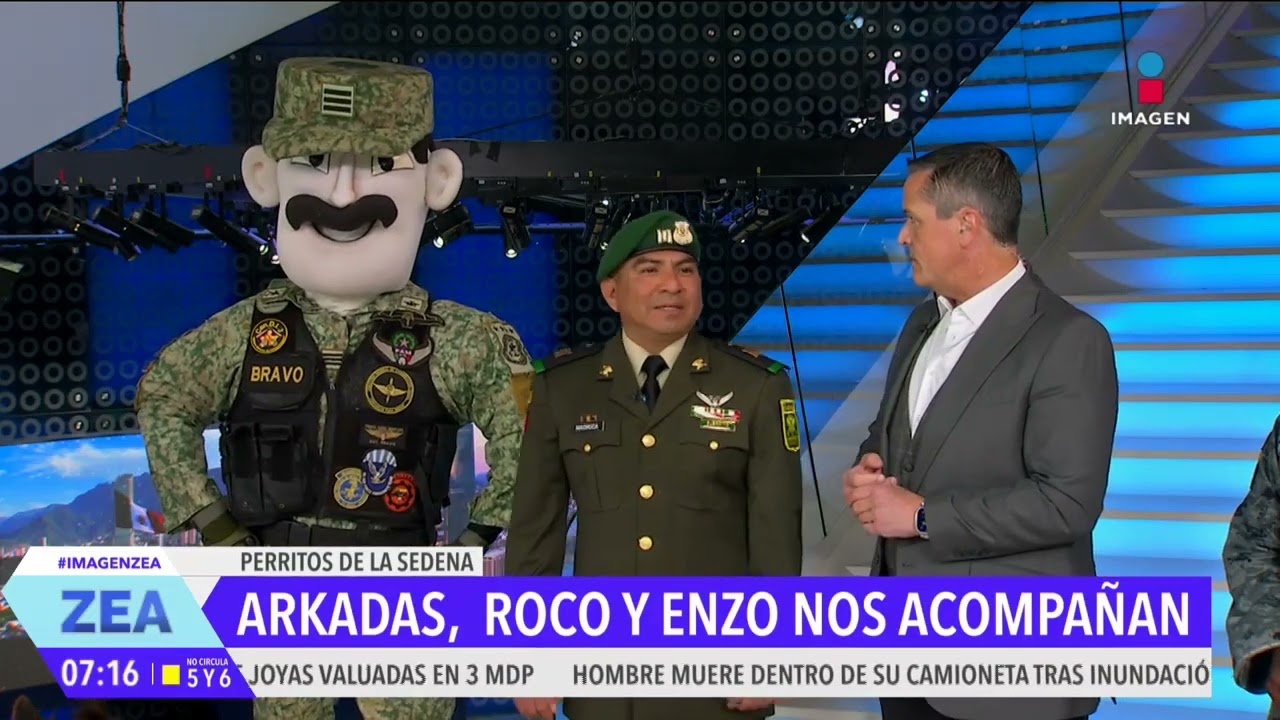 Arkadas, Enzo y Roco, perritos rescatistas del Ejército, visitan el foro de Imagen Noticias | Zea