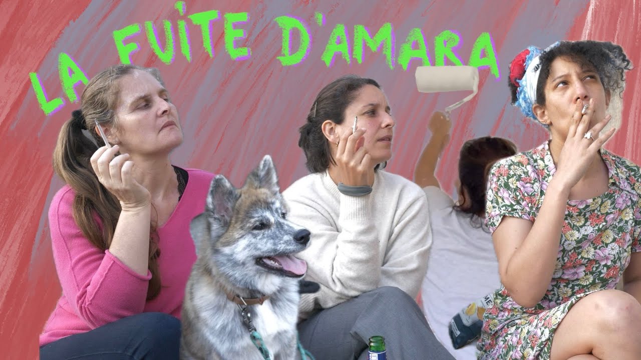 Résidence d'écriture sauvage, pitch, déménagement et travaux - JDQ - VLOG