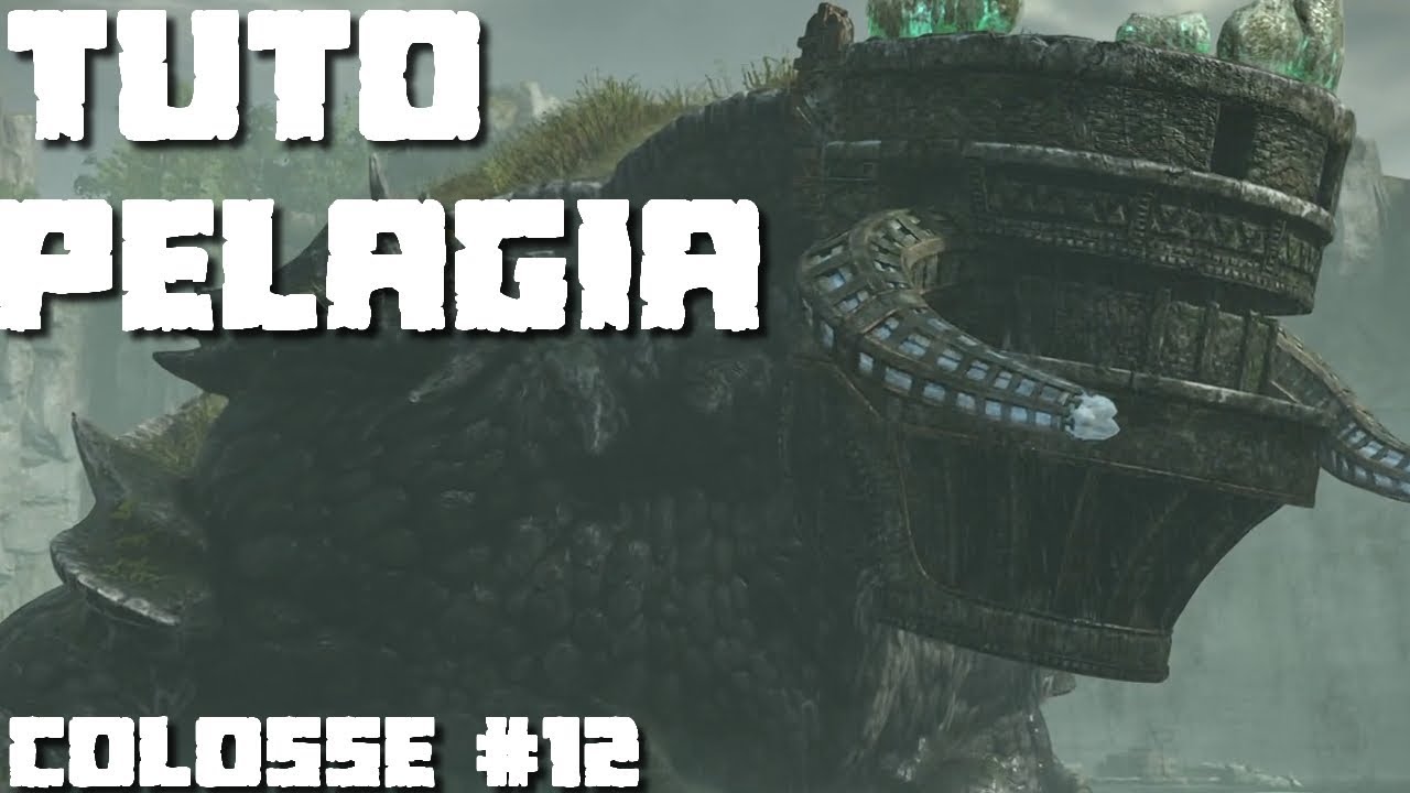 Tuto FR Colosse #12 PELAGIA (Normal / Time Attack) SHADOW OF THE COLOSSUS (REMASTERED)