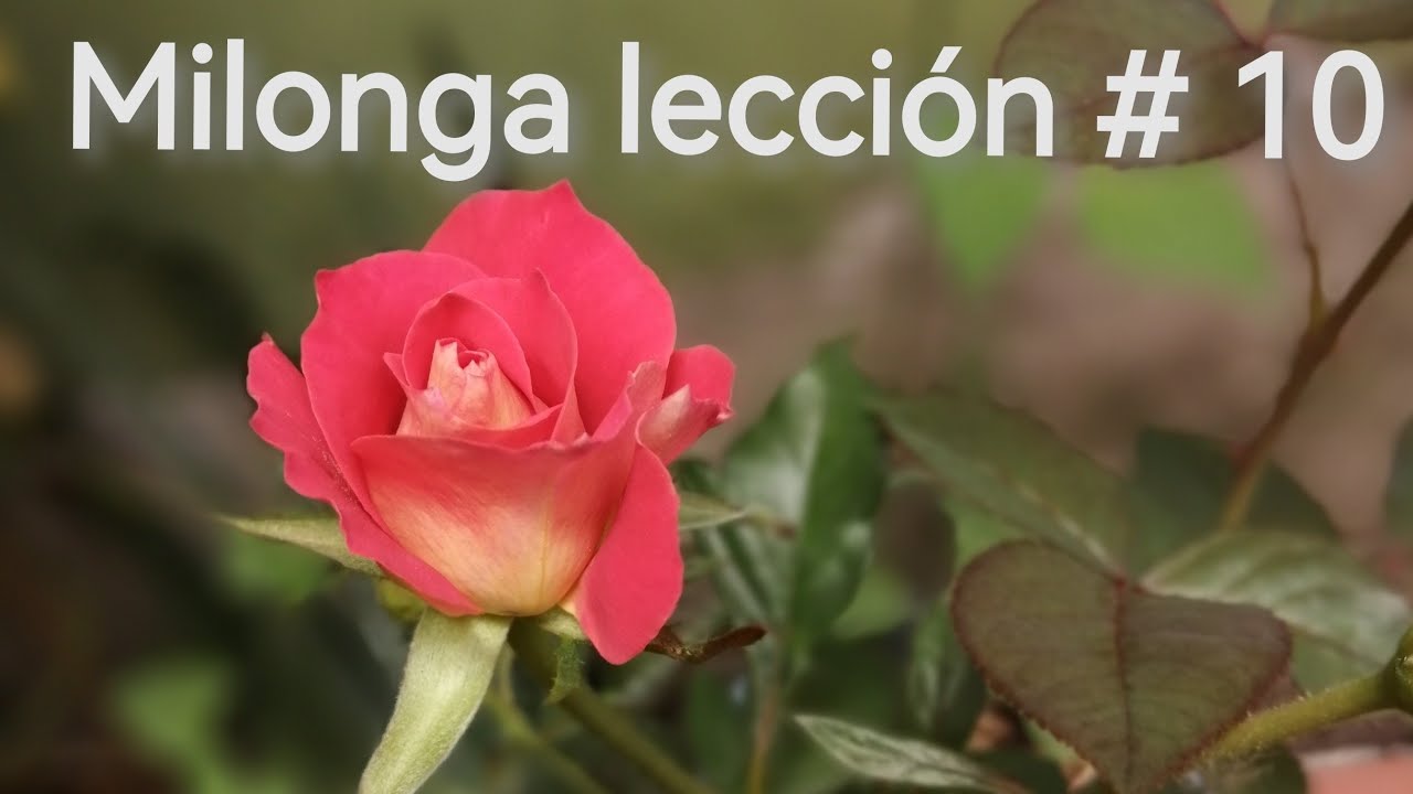 milonga lección # 10