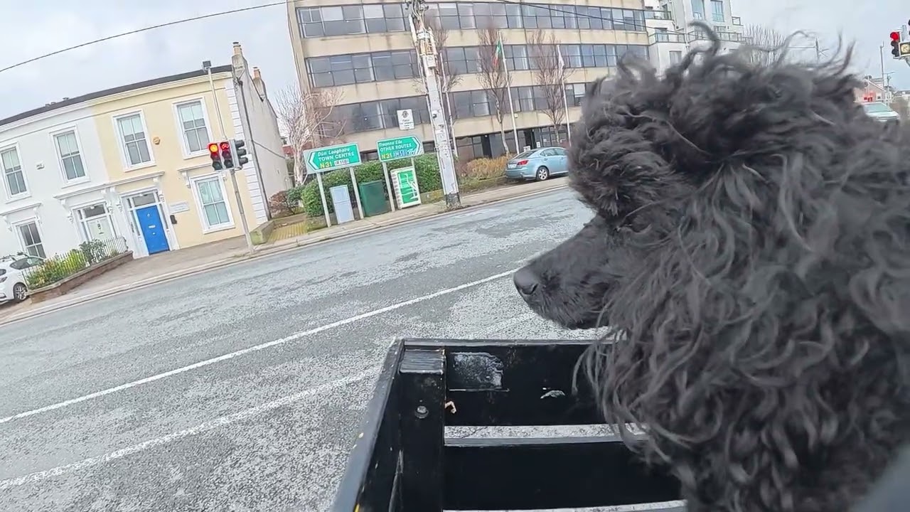 Monty cycles from Dún Laoghaire to Blackrock