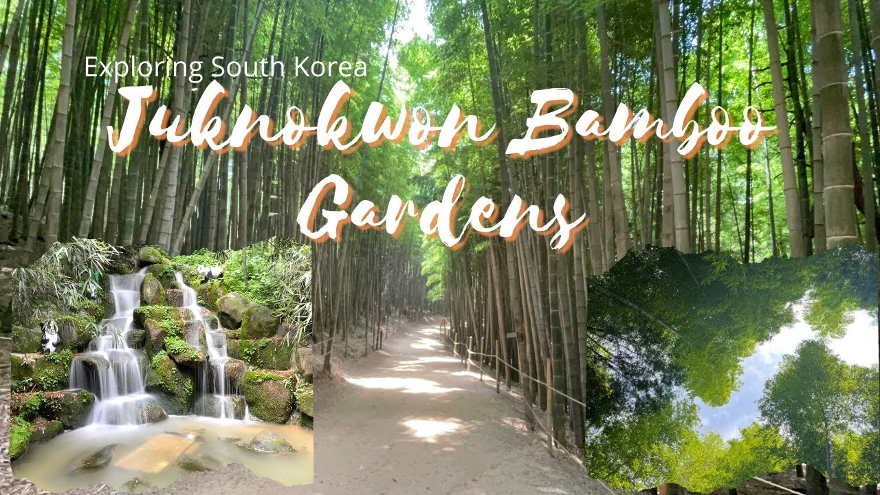 Juknokwon Bamboo Gardens - Damyang, South Korea