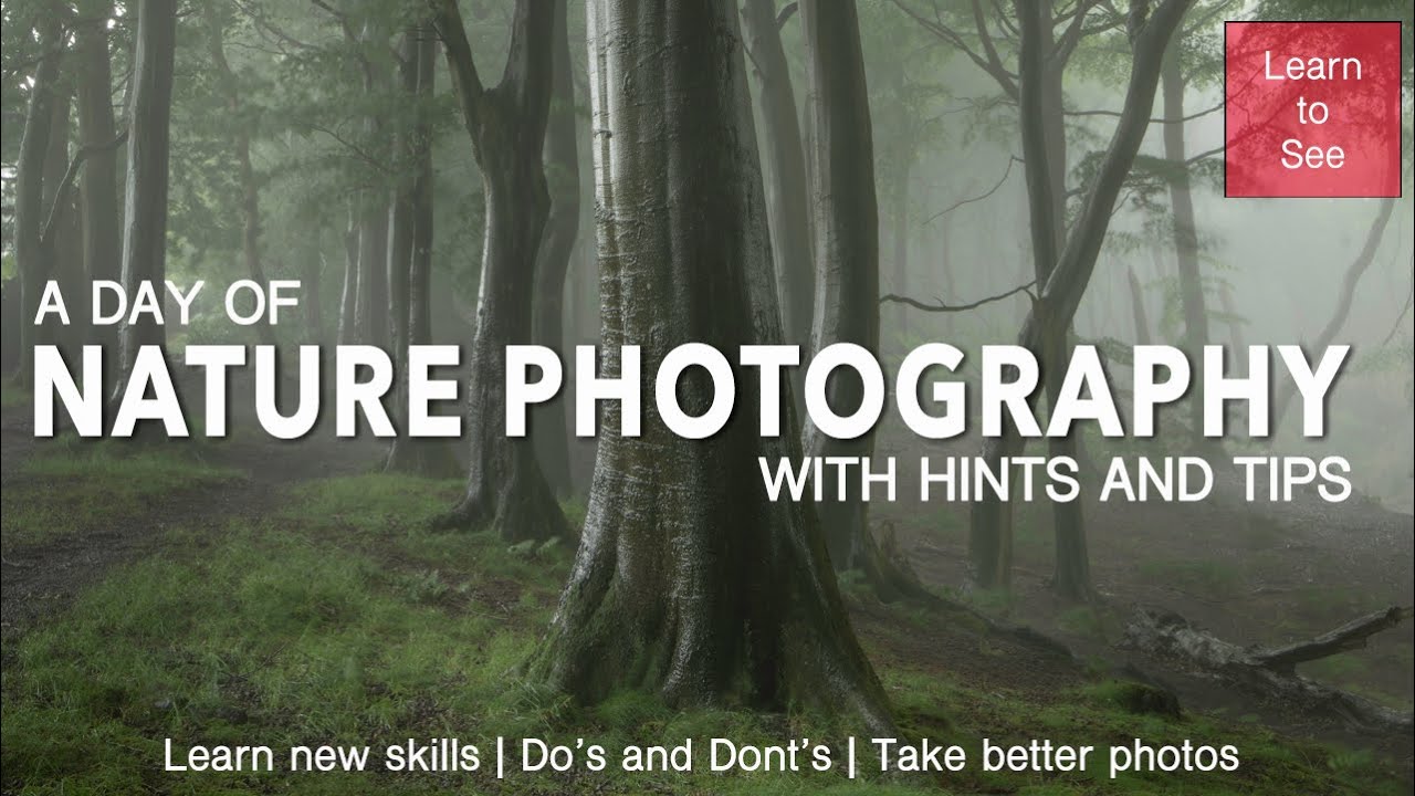 A day of nature photography, with hints and tips.
