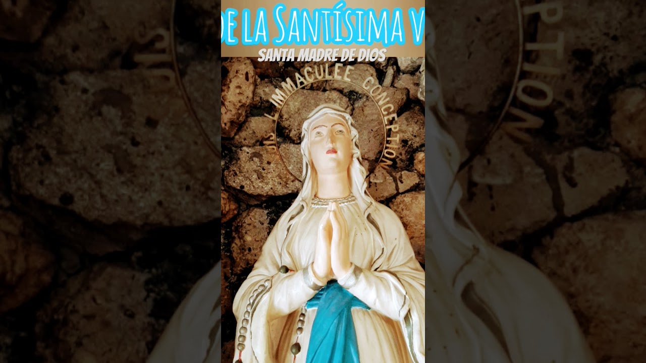 #theotokos
