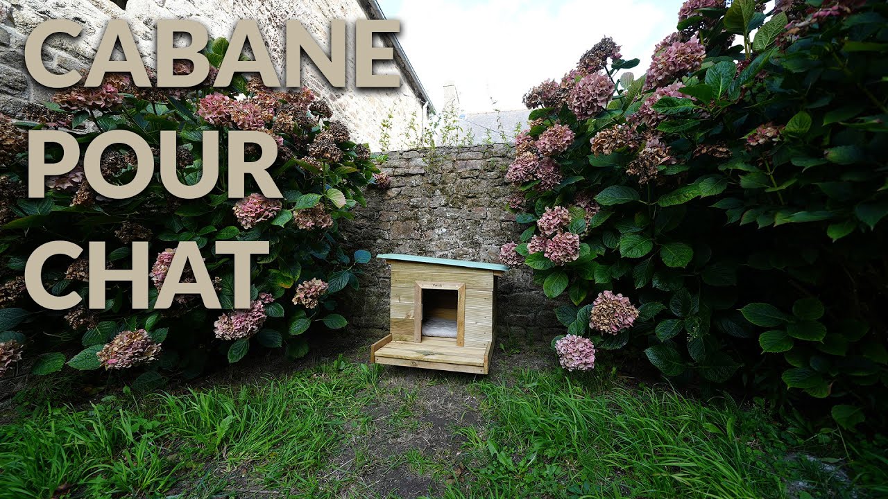 Première construction en bois : une cabane pour mon chat 🪚