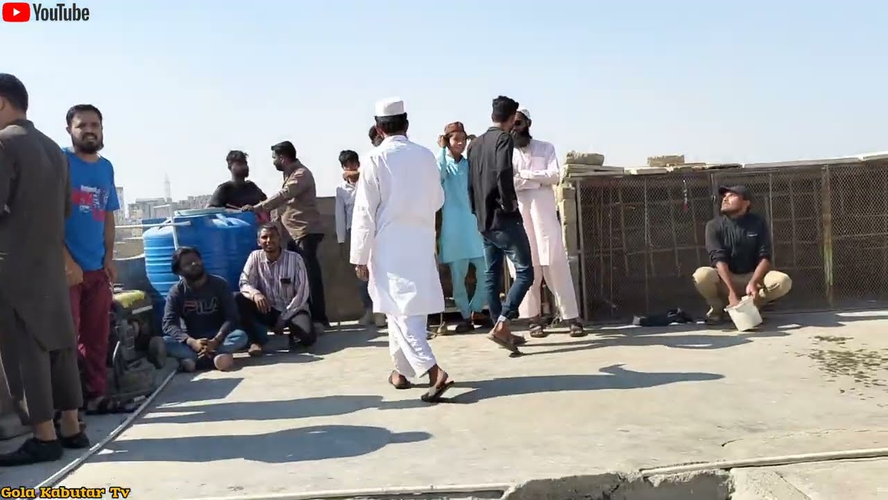 Hanif Bhai V/S Rameez Bhai || 4 Kabutar Aye || 100+100 Koray Kabutar Ka Shouq. 😃