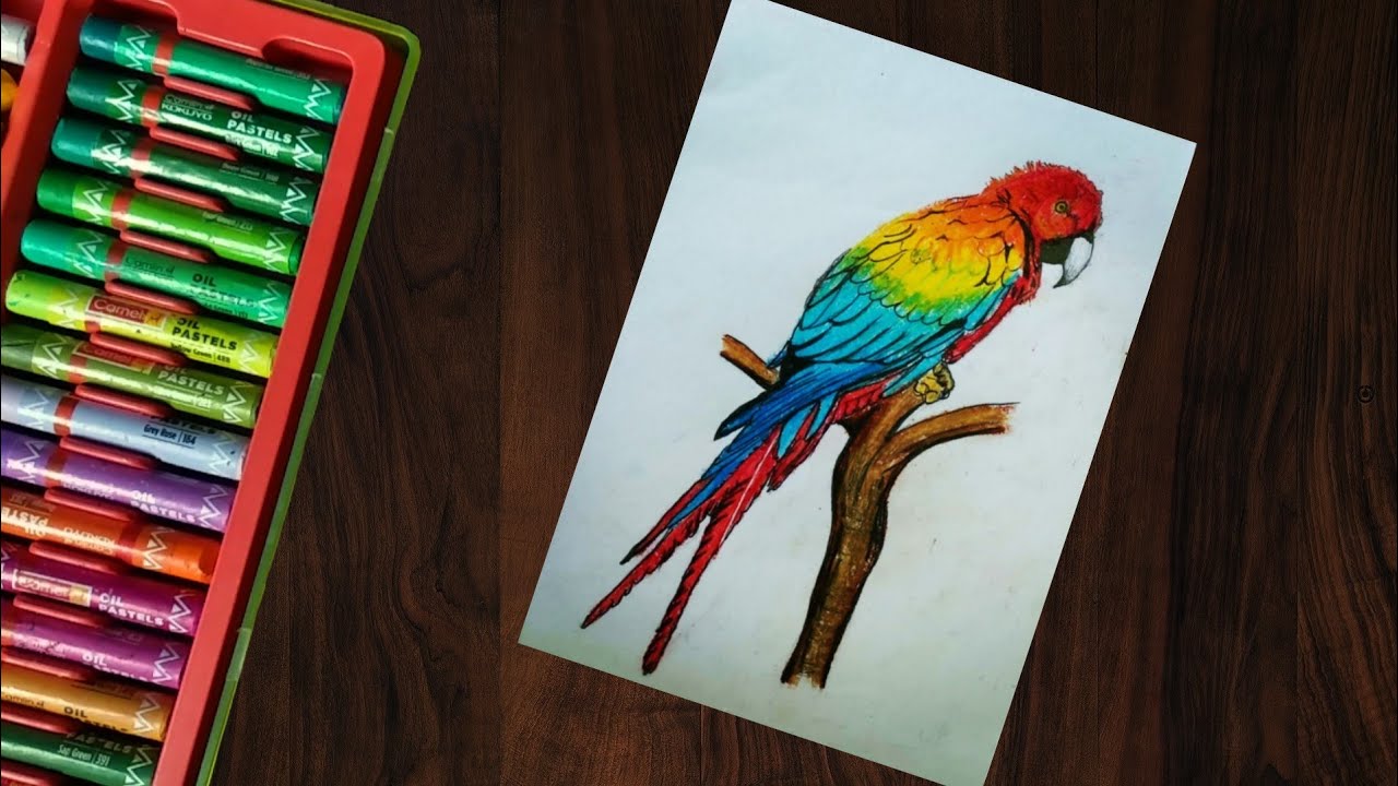 Macaw Parrot Drawing | oil pastel || Tricks Arts||