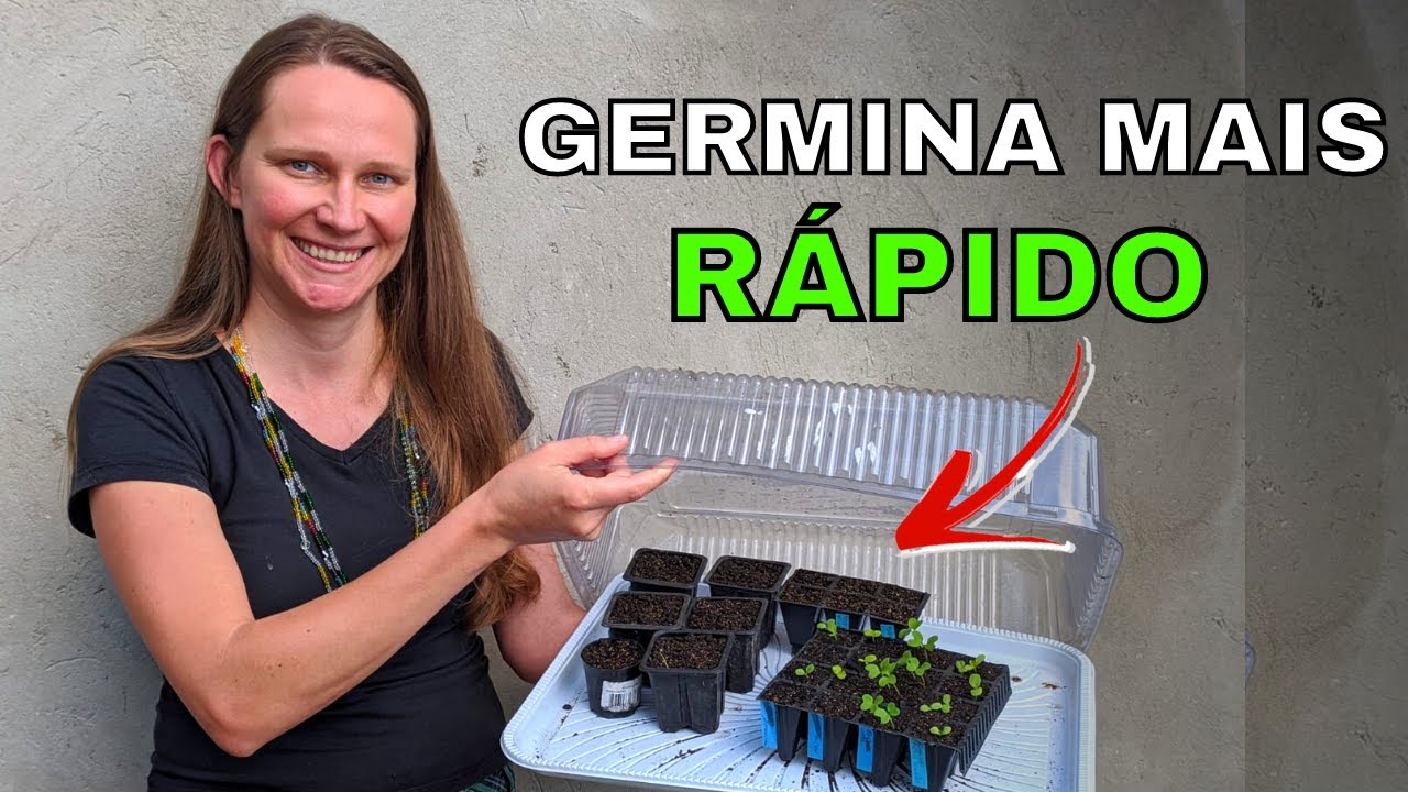 Como Fazer Mudas❓ 🌱 Mini Estufa para HORTA I 3 DICAS para suas Mudas Crescerem Mais RÁPIDO!!