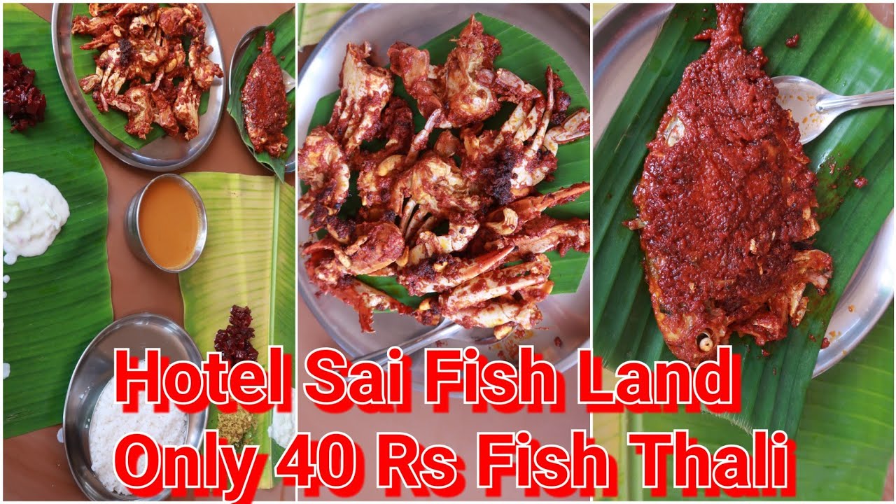 Hotel Sai Fish Land || Best Sea Food Hotel In Udupi || Only 40 Rs Fish Thali || Reasonable Price