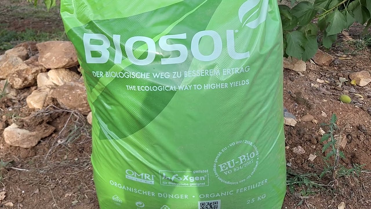 Παρουσίαση της εφαρμογής BIOSOL σε βερίκοκα ποικιλίας Farbela. Απίστευτο αποτέλεσμα!
