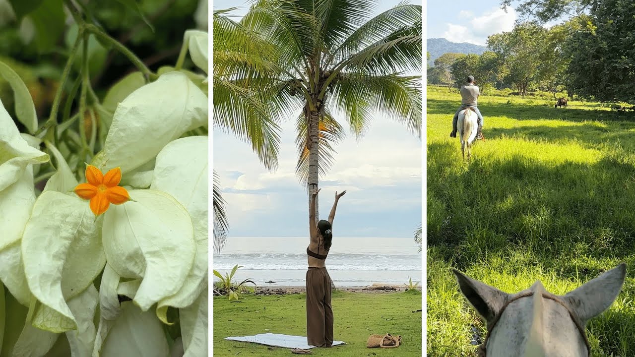 Ещё одна неделя одиночного путешествия по Коста-Рике.