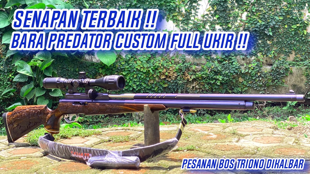 Bara predator #pcpsanaji #senapanbocap #senapanpcpterbaik #senapanterbaik 