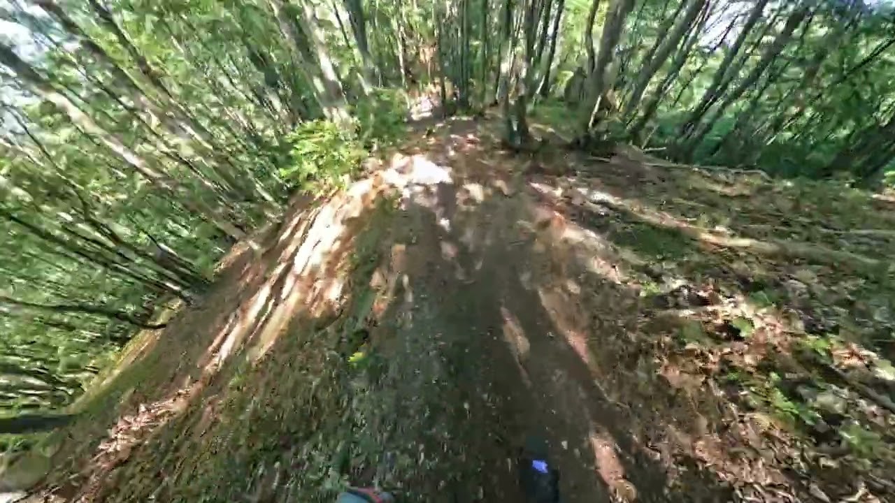 Vertride