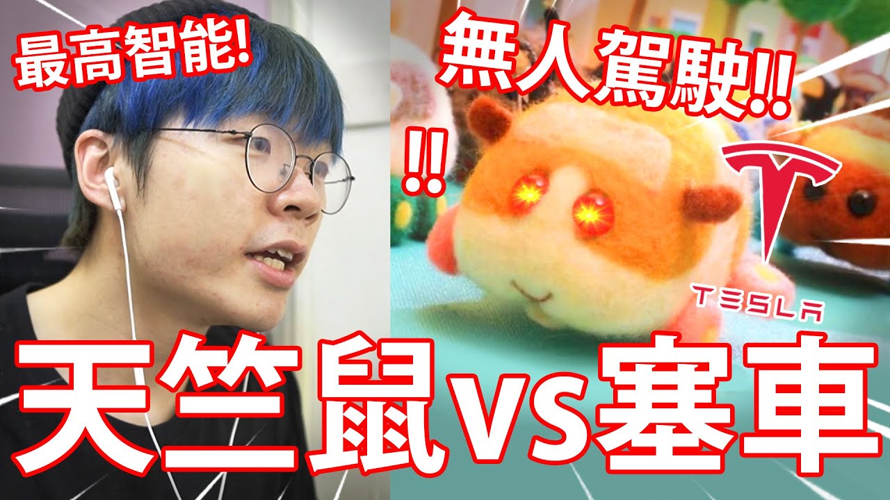 《🐭大人都看天竺鼠車車🚗》網友DIY整到好崩潰🤣！ // 安心到不行既安心出行...改錯名吧🤔？