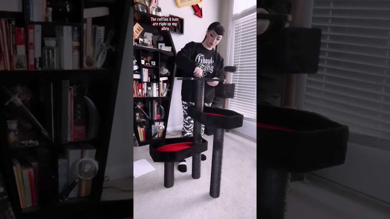 Unboxing the gothic style cat tree together! 📦🖤🐈