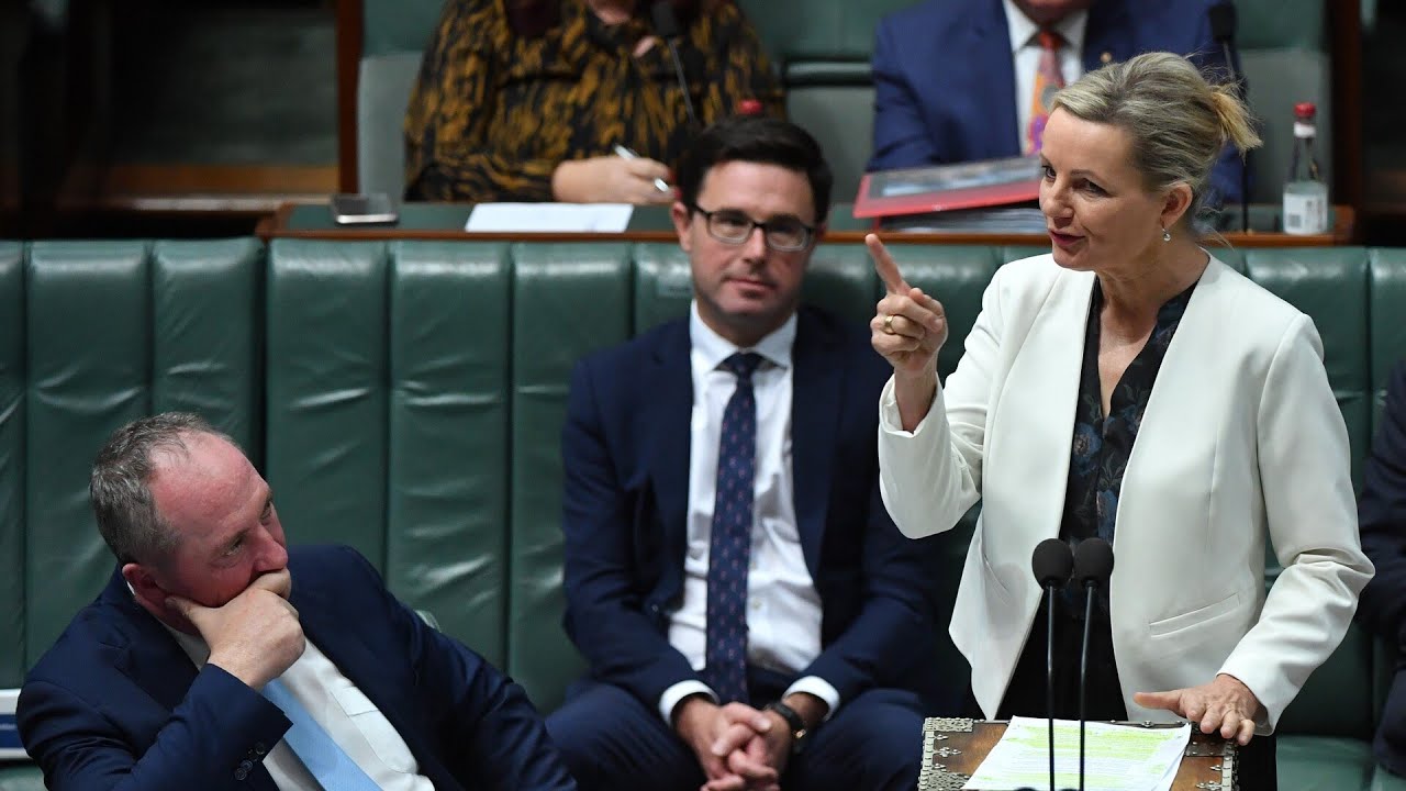 Liberal Party urged to follow the Nationals’ ‘direction’ in dropping net zero ‘madness’