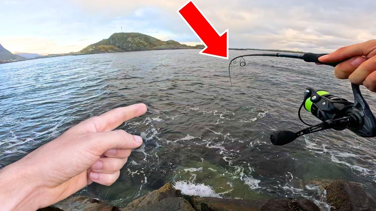 24H pour pêcher les GEANTS du grand Nord (pêche en Norvège)