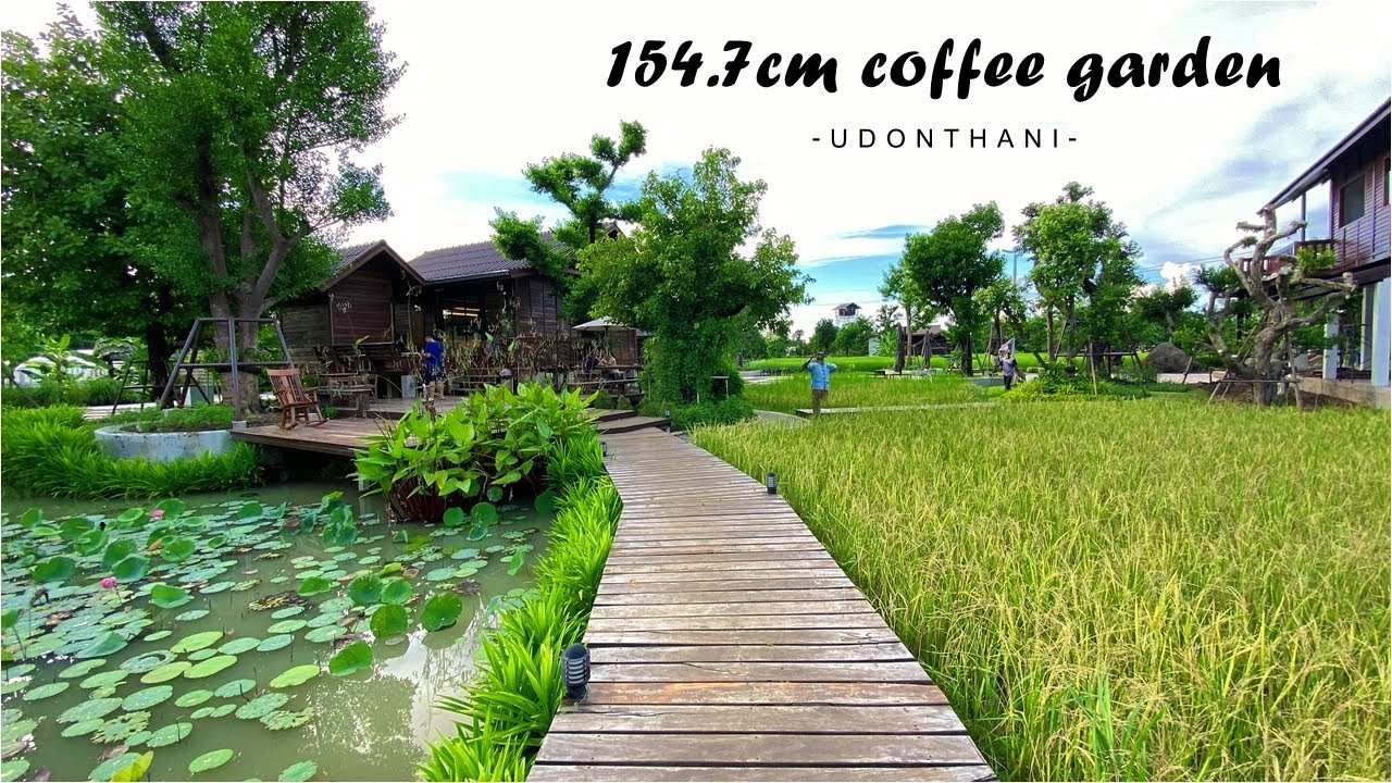 154.7CM Coffee Garden ร้านกาแฟวิวทุ่งข้าว สระบัว..ที่นี่จ้า อุดรธานี