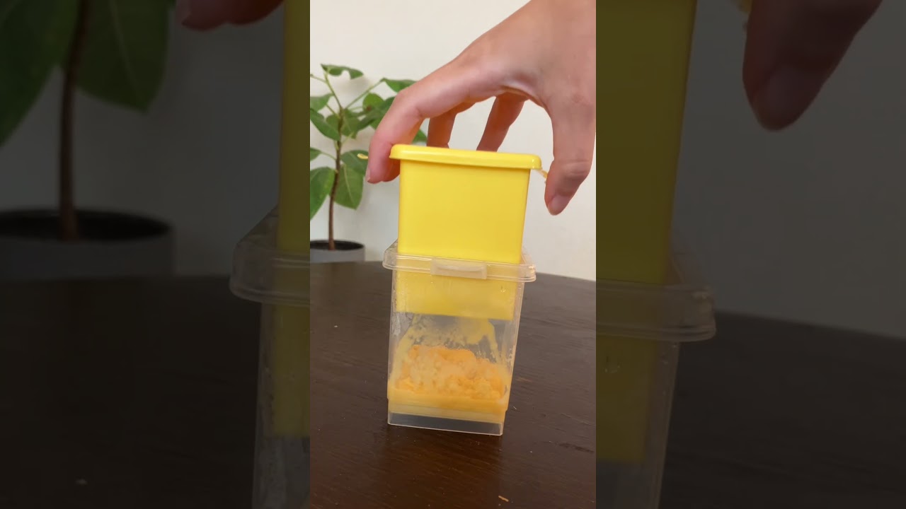 How To Cook With These Convenient Daiso Kitchen Items 👩&zwj;🍳🍳
