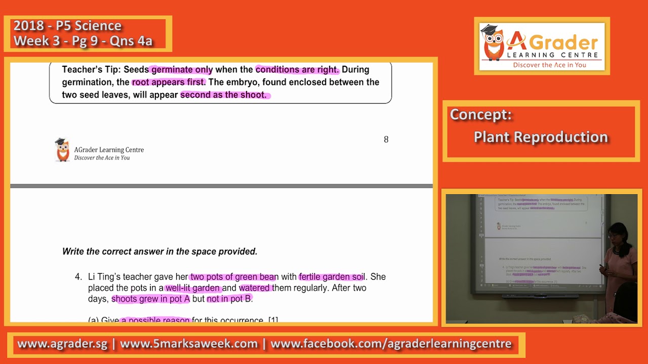2018 - P5 Science - Week 3 - Pg 9 - Qns 4a (1 of 4 - Plant reproduction)