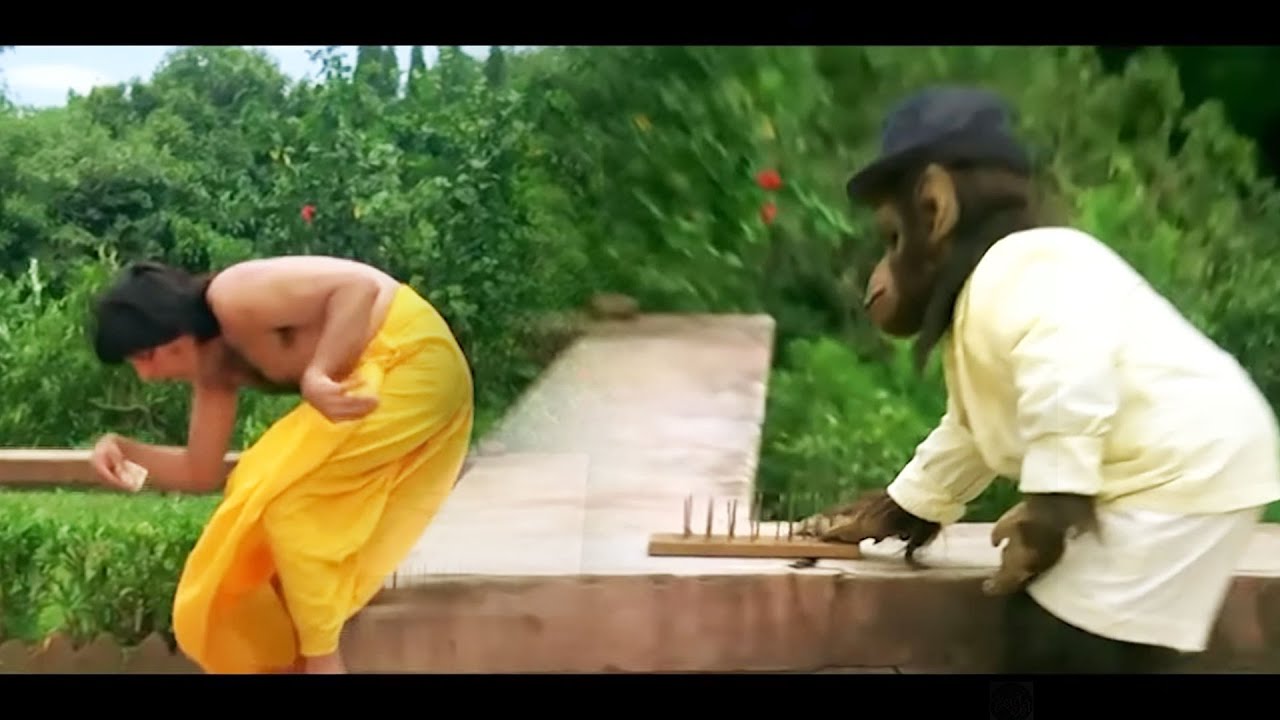 बन्दर ने शक्ति कपूर के नीचे कील रख दी - शक्ति-मिथुन ज़बरदस्त डबल धमाल कॉमेडी सीन