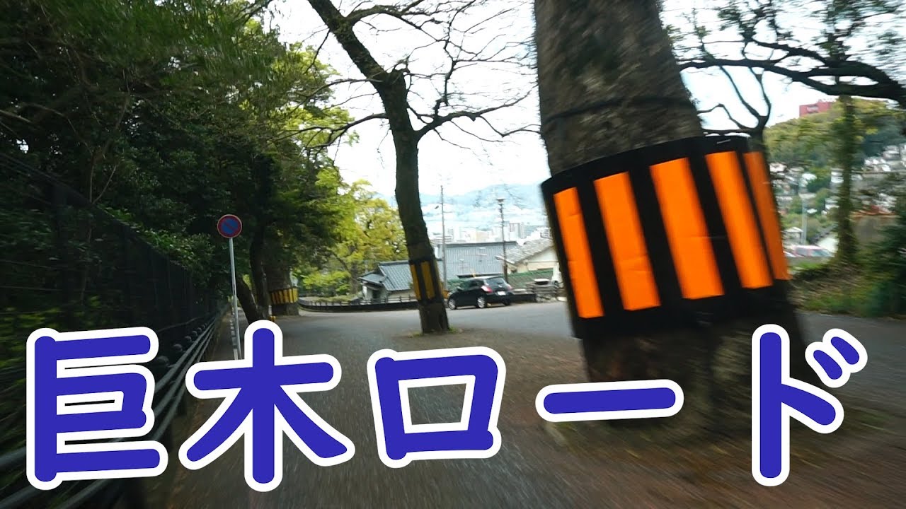 道の真ん中に木が！長崎の巨木ロード－六角道